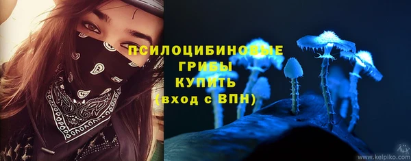 соль ск Алзамай