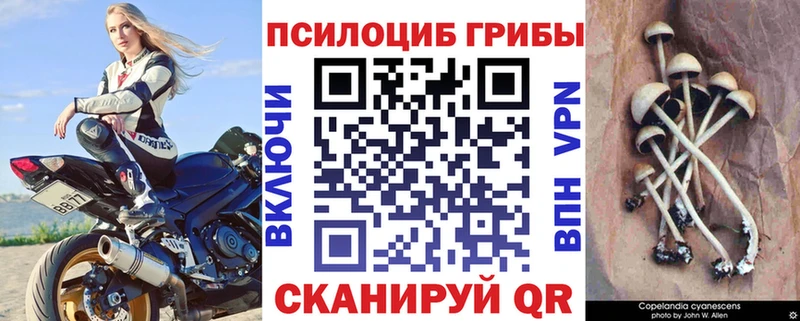 Псилоцибиновые грибы MAGIC MUSHROOMS Арамиль