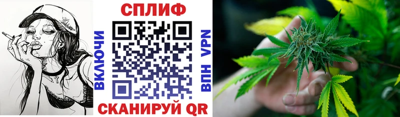 закладки  Арамиль  Бошки Шишки гибрид 